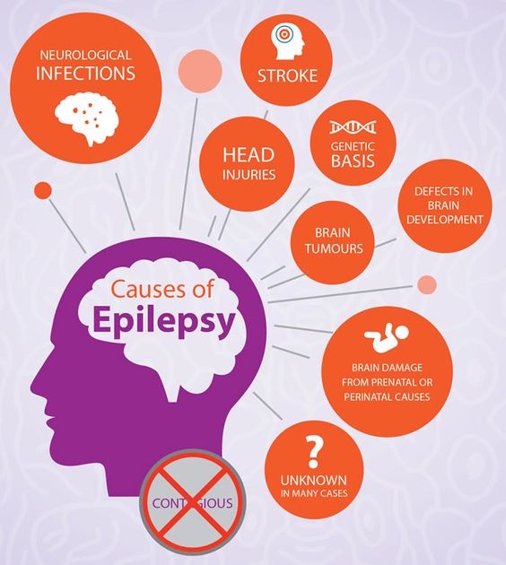 Navigating the Challenges of Epilepsy Treatment